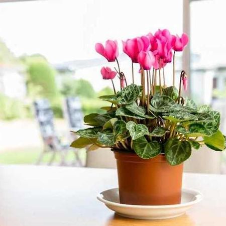 Ferienhaus Boje 9 Neuharlingersiel Esterno foto